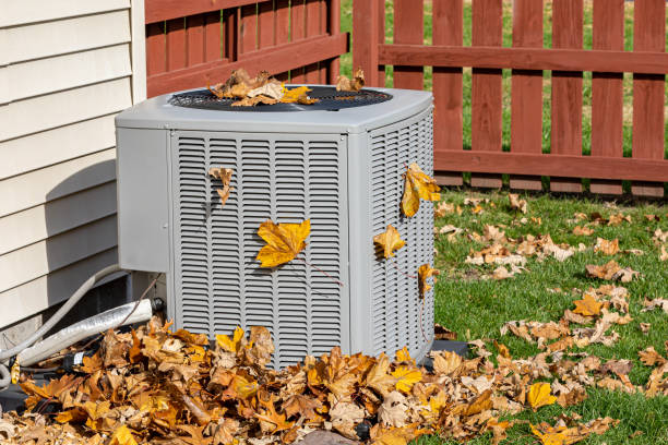 Best Energy-efficient HVAC Solutions in Clearwater, SC